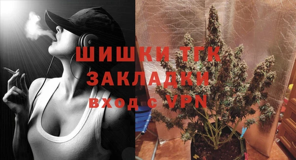 СК Вязьма